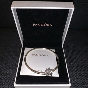 Pandora Charm Bracelet (Limited addition)